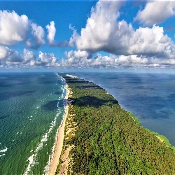Купить Куршская коса и Зеленоградск