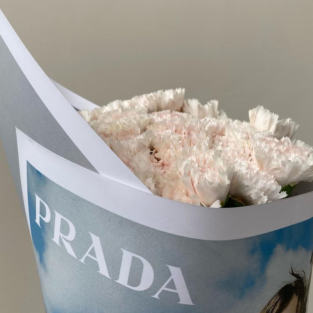 Купить Диантус BRUT