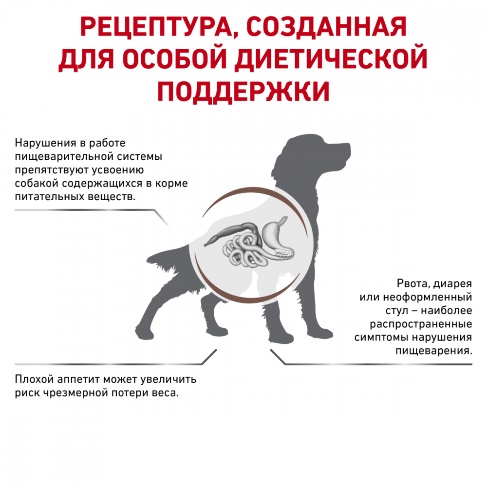 Купить Royal Canin Gastrointestinal диетический корм для взрослых собак при нарушении пищеварения 2кг