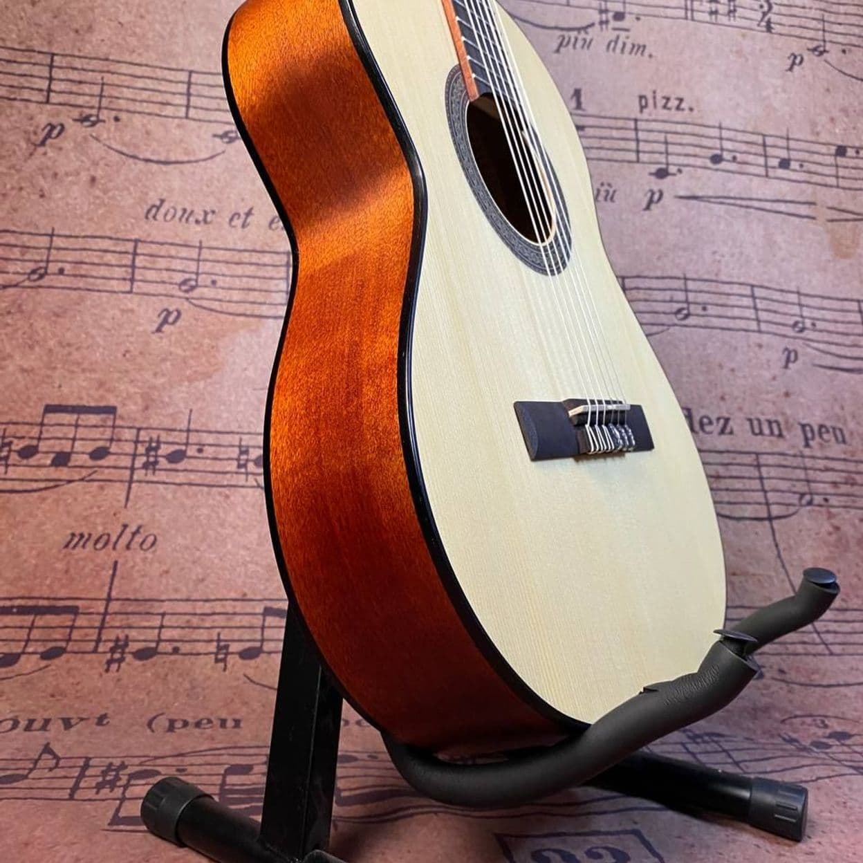 Купить Классическая гитара Parkwood PC75-WBAG-OP