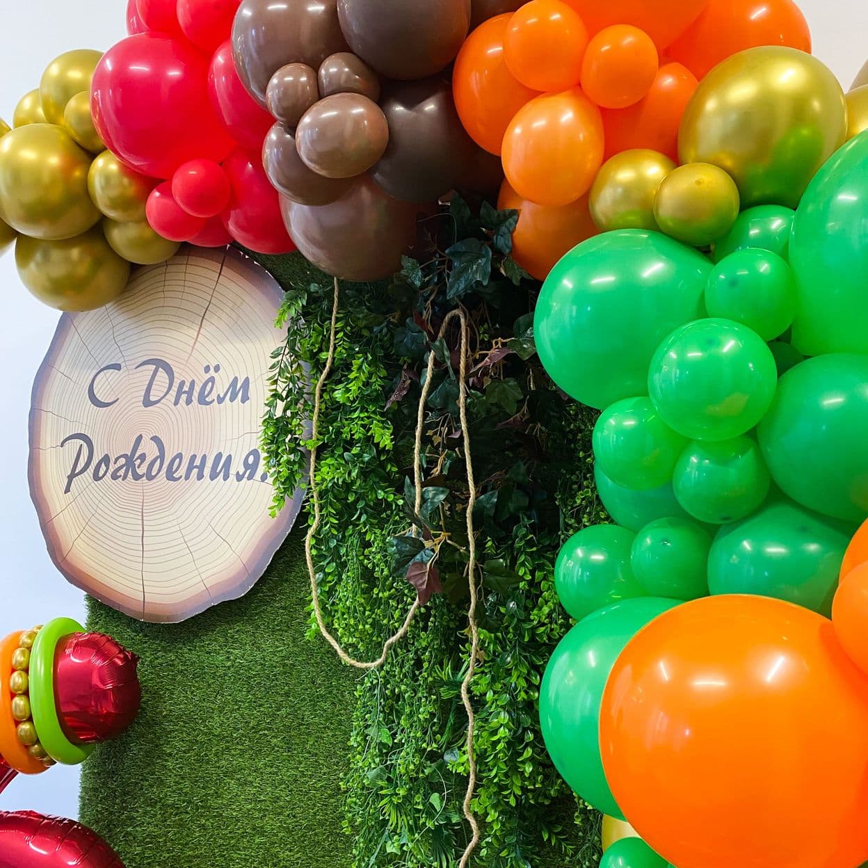 Купить Фотозона за 1 день — Динозавр