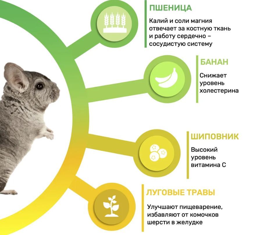 Купить Корм для шиншиллы Little King 800 гр