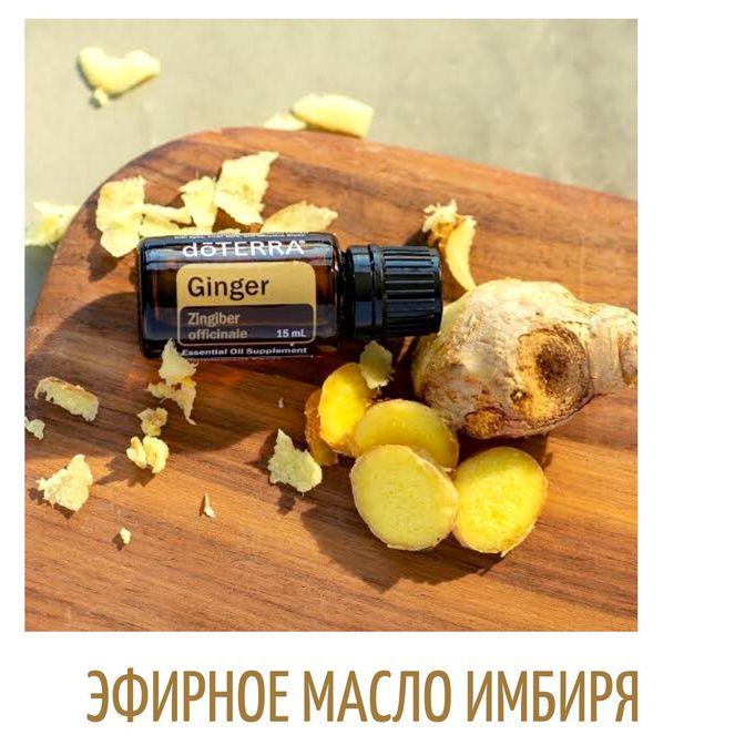 Купить Имбирь