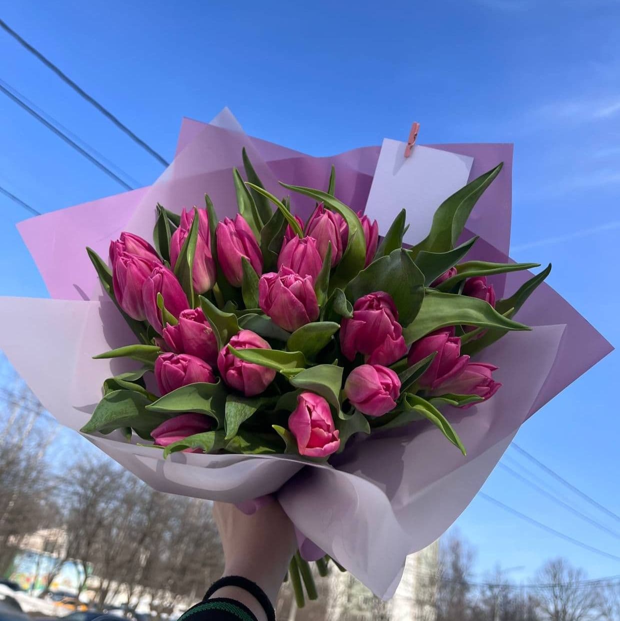 Купить Букет из пионовидных тюльпанов(Сезонный)