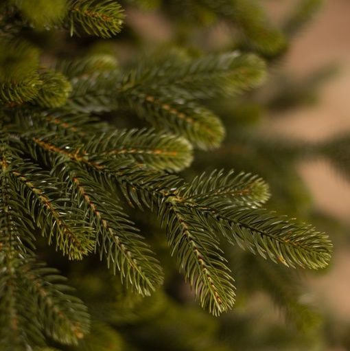 Купить Люблинская