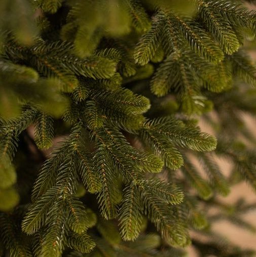 Купить Люблинская