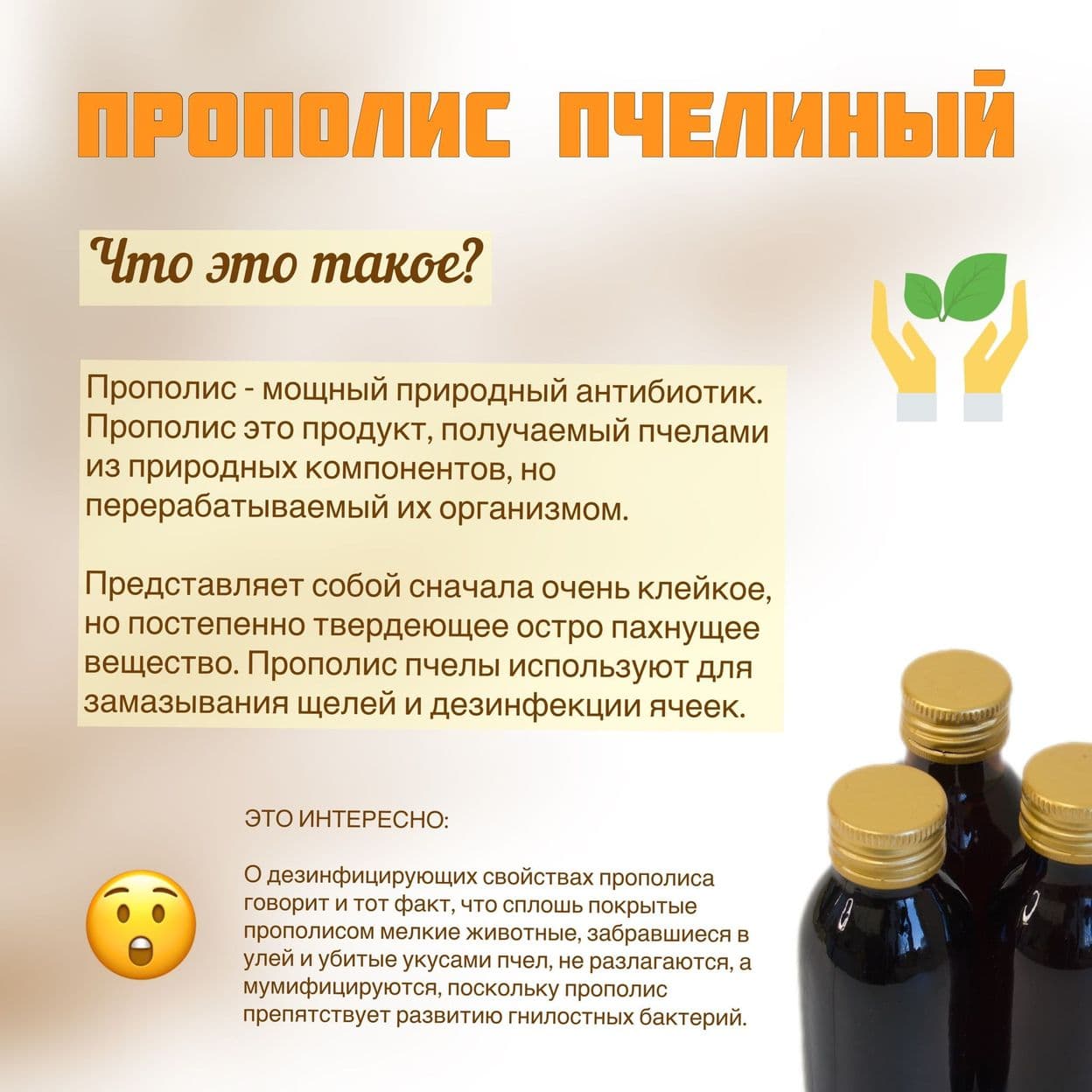 Купить Настойка прополиса, 100 мл