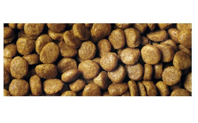Купить PURINA PRO PLAN для взрослых кошек, с высоким содержанием