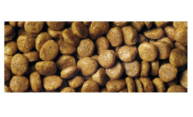 Купить PURINA PRO PLAN для взрослых кошек, с высоким содержанием