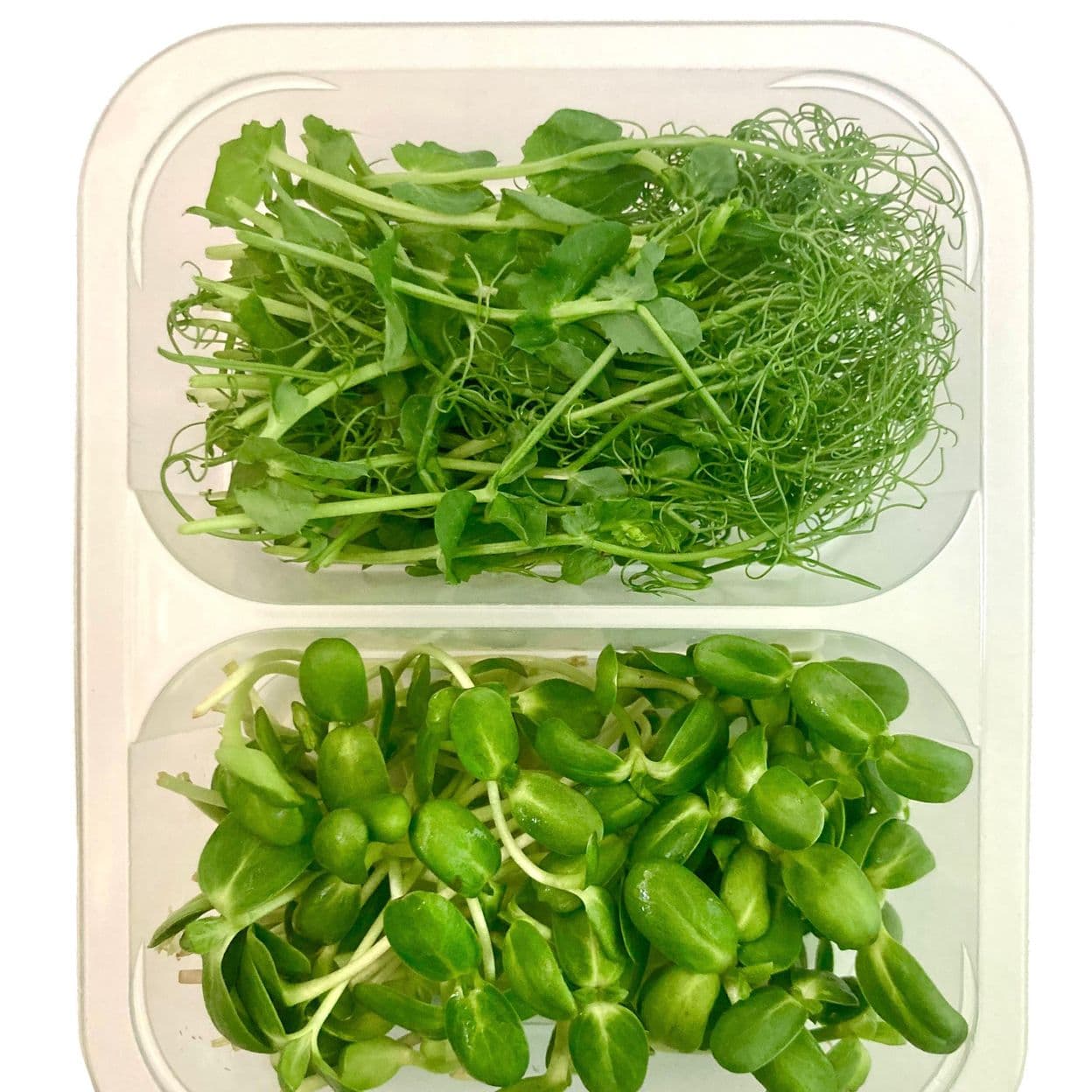 Купить Микс Микрозелени