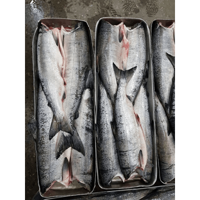 Купить ГОРБУША ТУШКА ПОТРОШЕННАЯ БЕЗ ГОЛОВЫ СВЕЖЕМОРОЖЕНАЯ КОРОБ ВКУСАРТ ~ 12 КГ . доставка продуктов тюмень . доставка продуктов в тюмени . доставка 