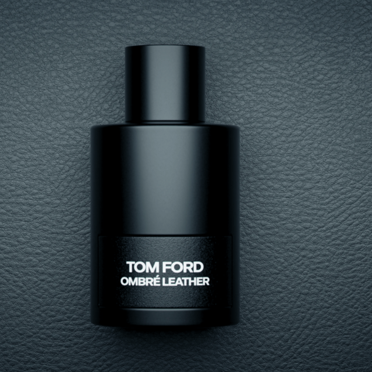 Купить TOM FORD OMBRÉ LEATHER