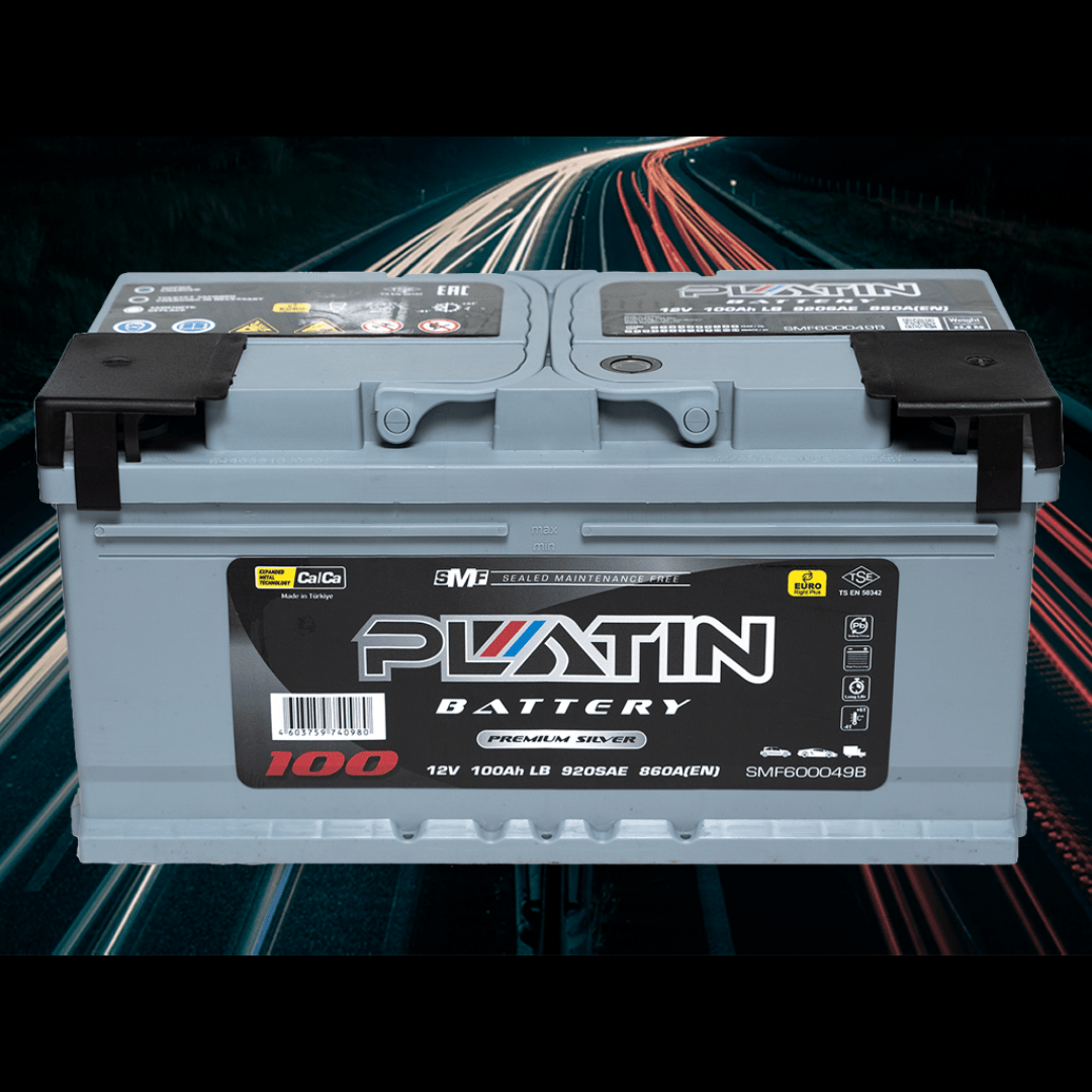 Купить АККУМУЛЯТОР PLATIN SILVER 6CT-100