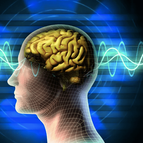 Купить Тариф +