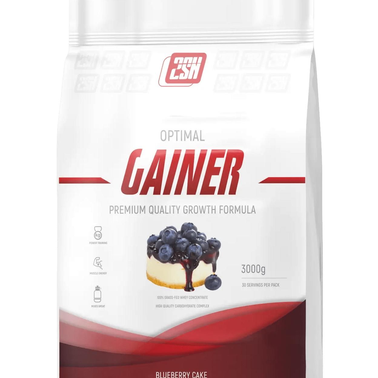 Купить 2SN Gainer 3000g