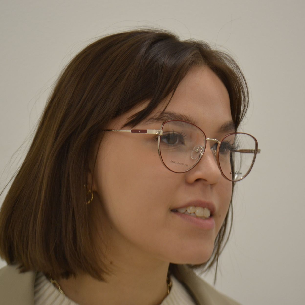 Купить DACCHI D33993 C3