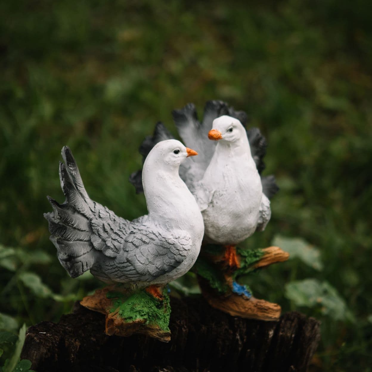 Купить Голуби на Коряге