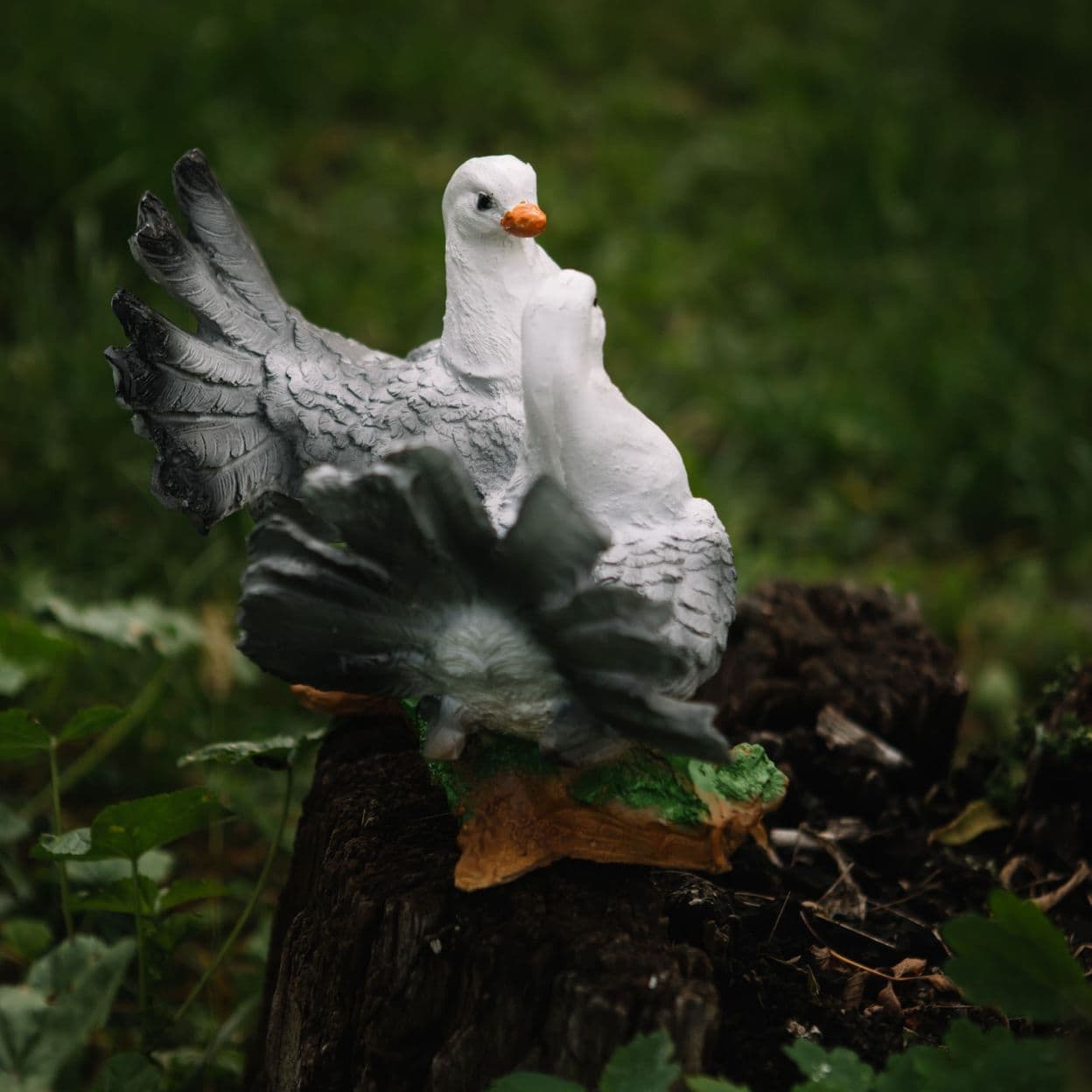 Купить Голуби на Коряге