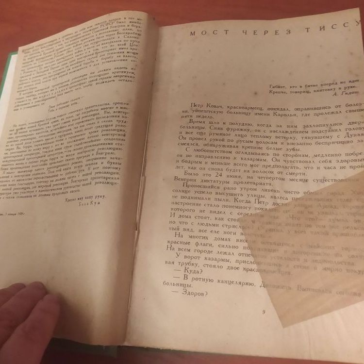 Купить Белла Иллеш. Тисса горит