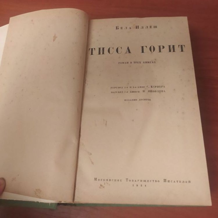 Купить Белла Иллеш. Тисса горит