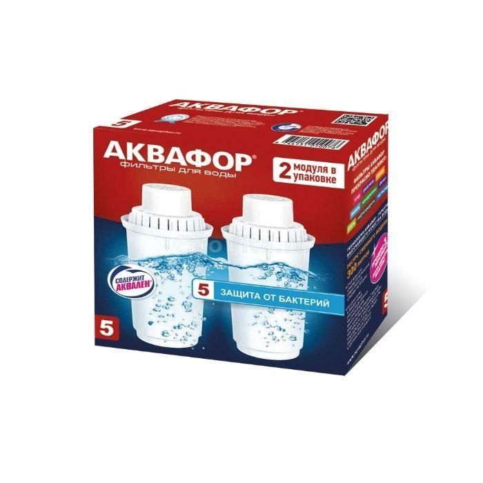 Купить Аквафор модуль В5 (2 шт)