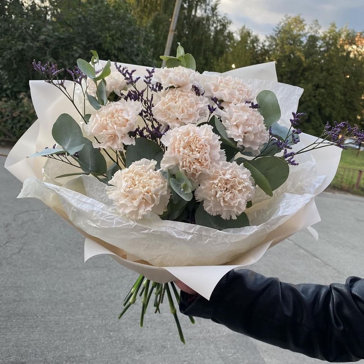 Купить Диантусы 