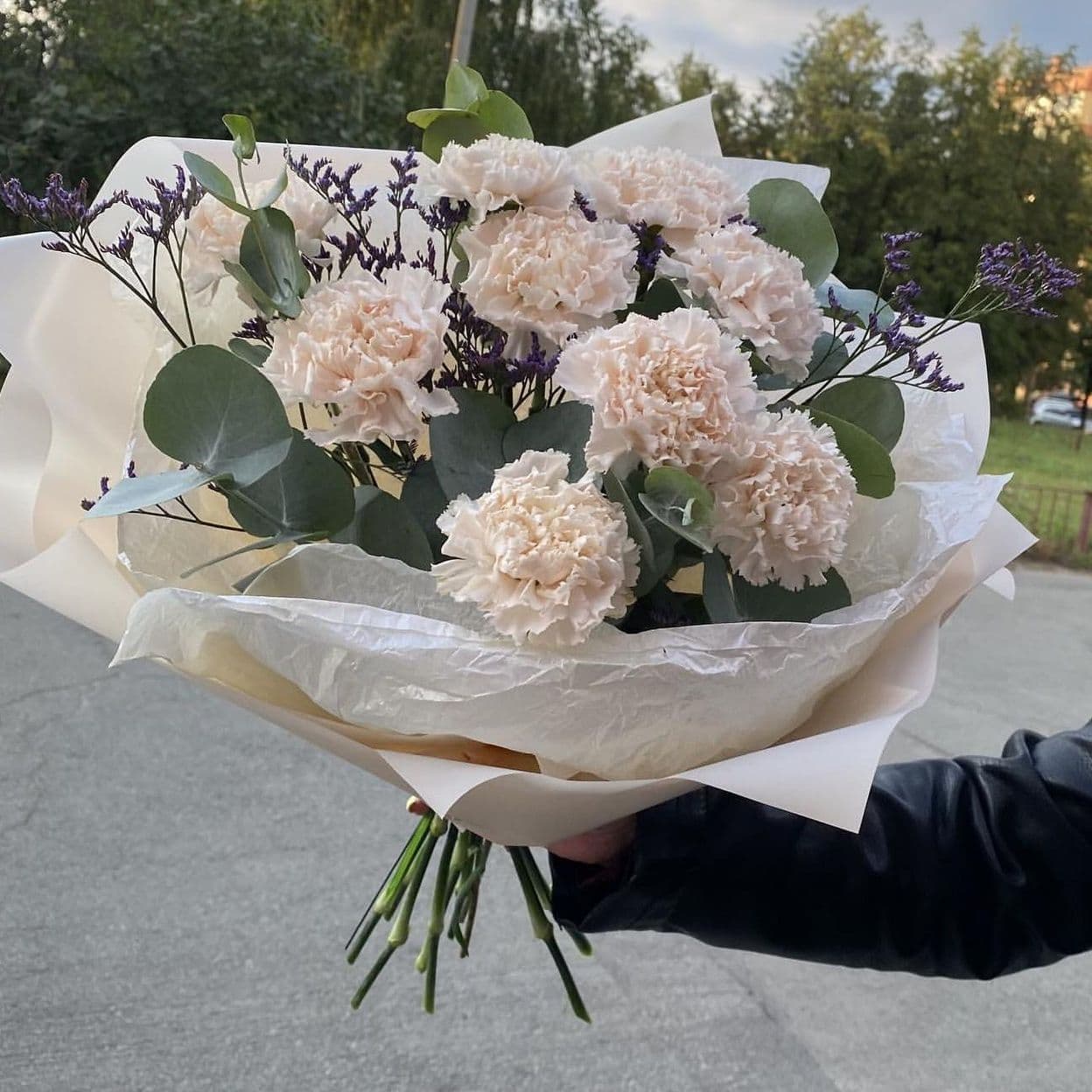 Купить Диантусы 