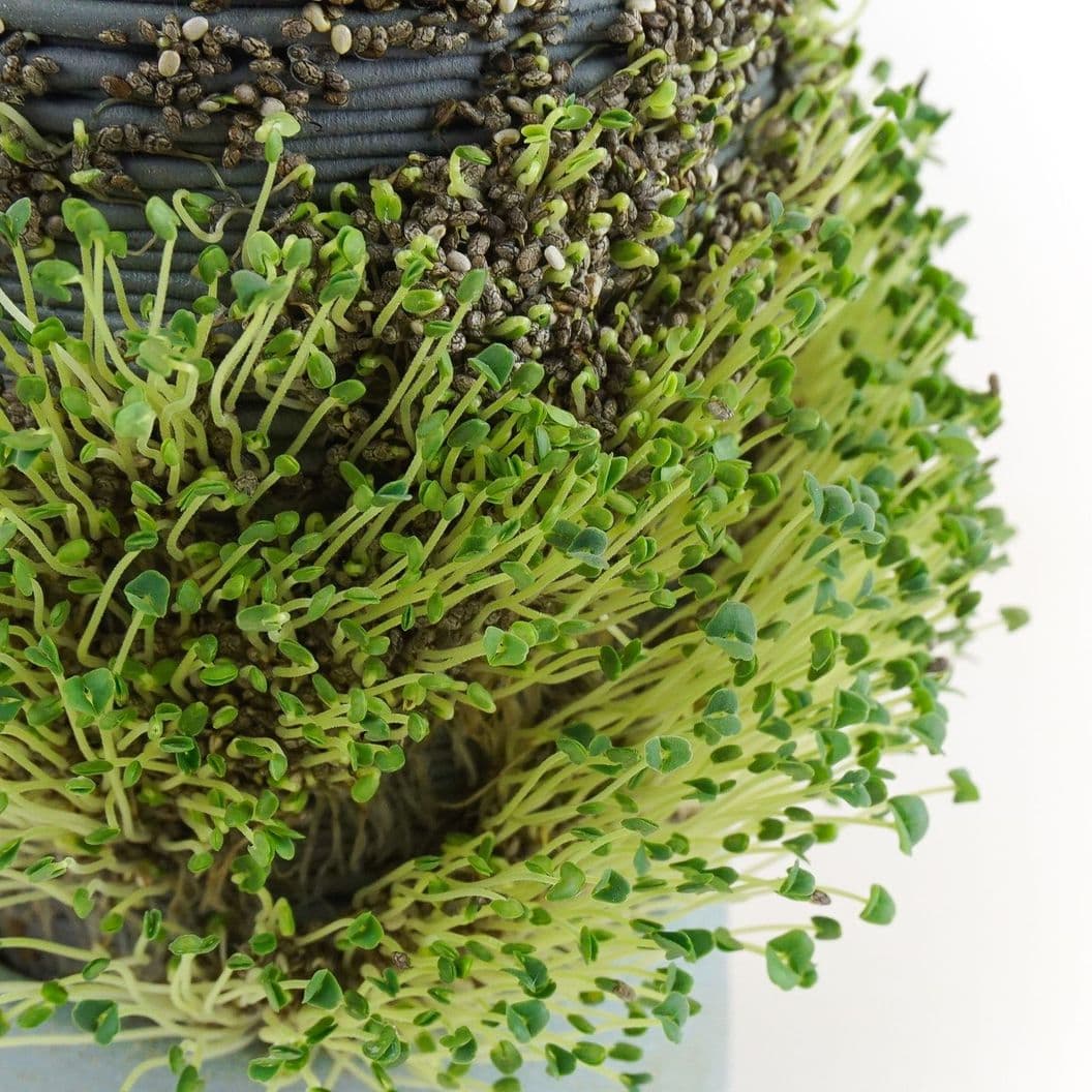 Купить MicroGreen