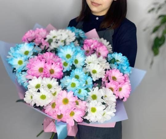 Купить  цветные кустовые хризантемы