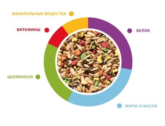 Купить Padovan Корм GRANDMIX Canarini