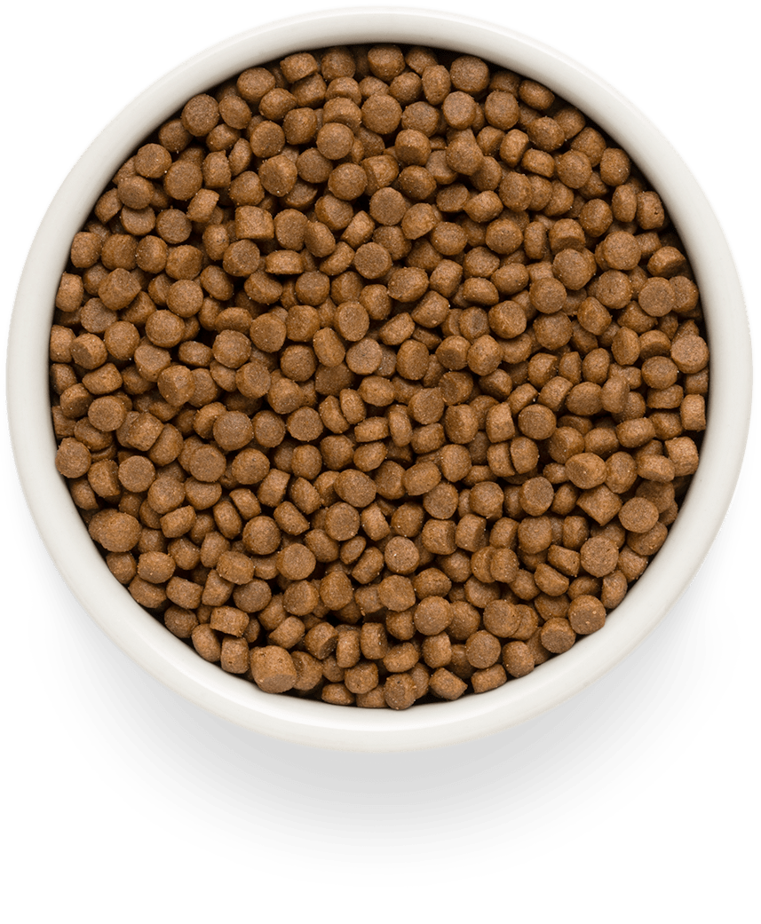 Купить Premier PUPPY ALL BREEDS сухой корм для щенков, свежее мясо индейки 3кг
