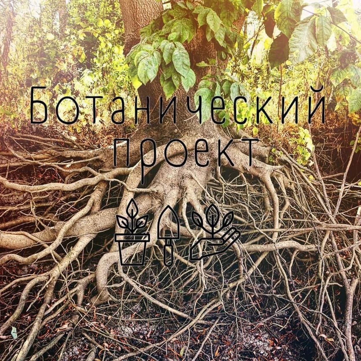 Купить Товар 2