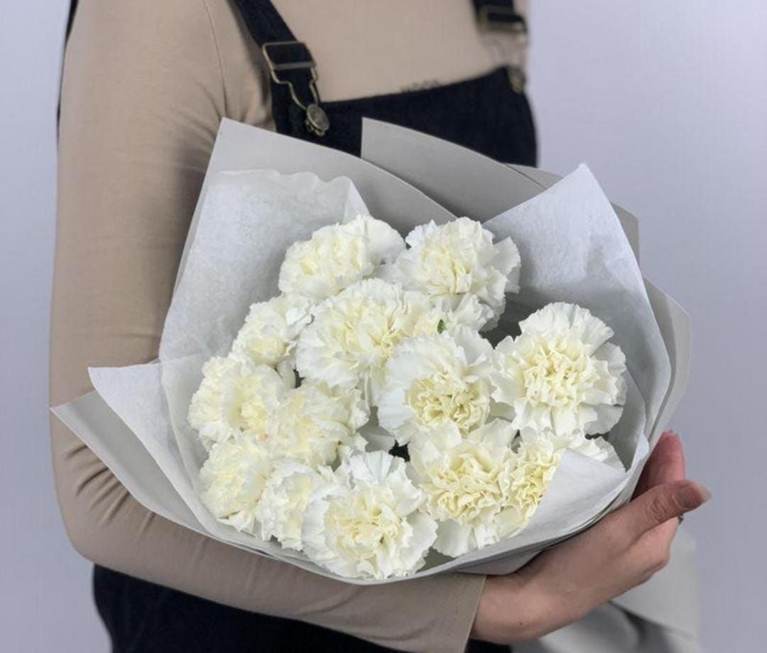 Купить Диантусы белого цвета