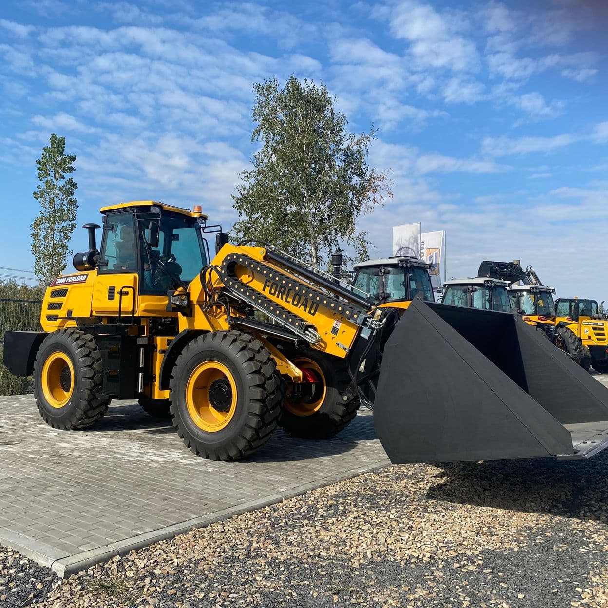 Купить Телескопический колесный погрузчик FORLOAD T3000