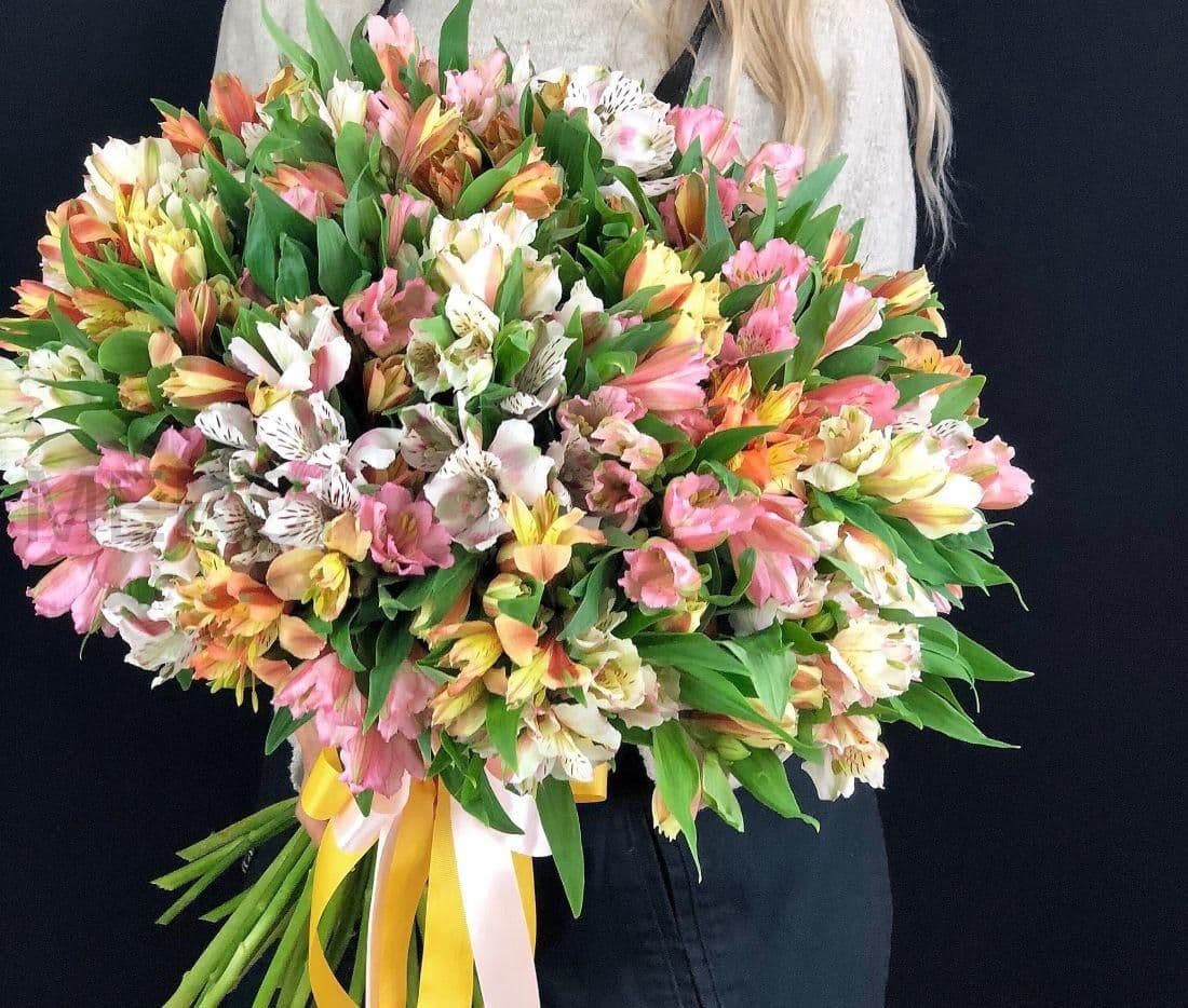 Купить Альстромерии