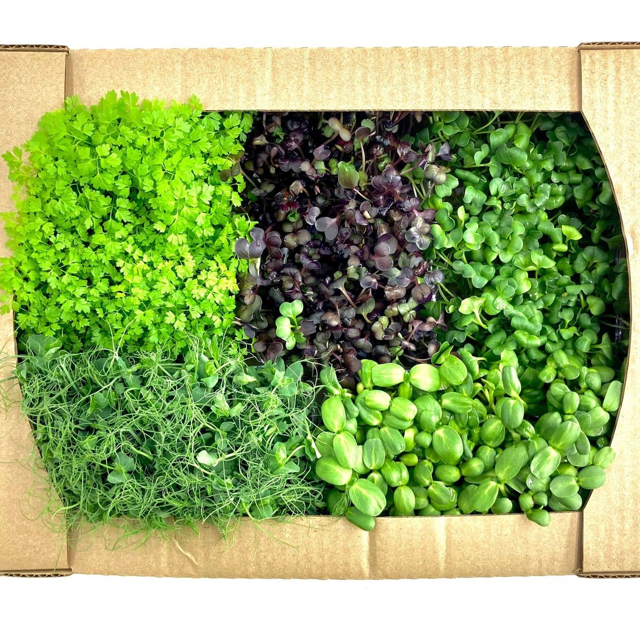 Купить Дегустационный набор    для HoReCa