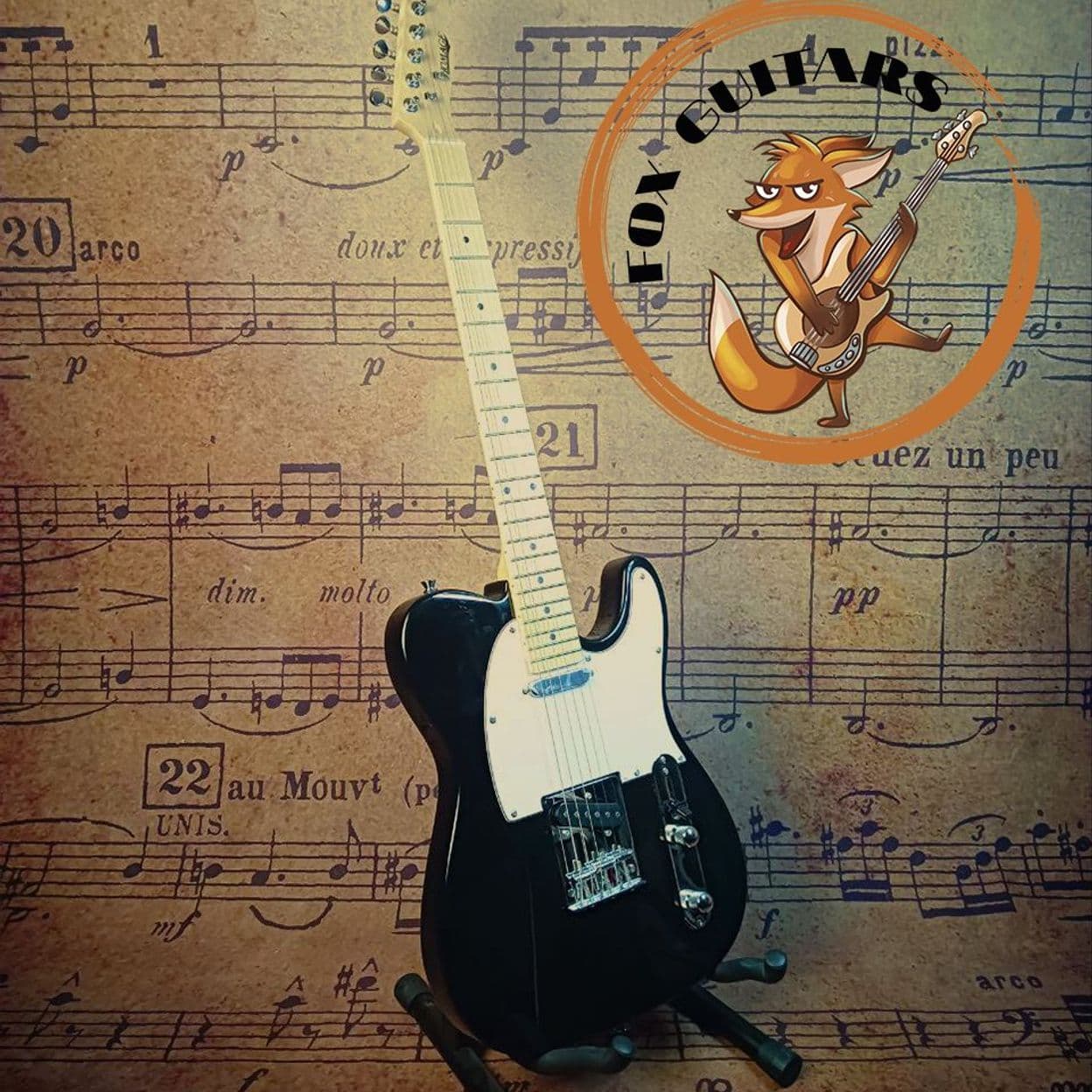 Купить Homage HEG350BK Электрогитара телекастер / telecaster