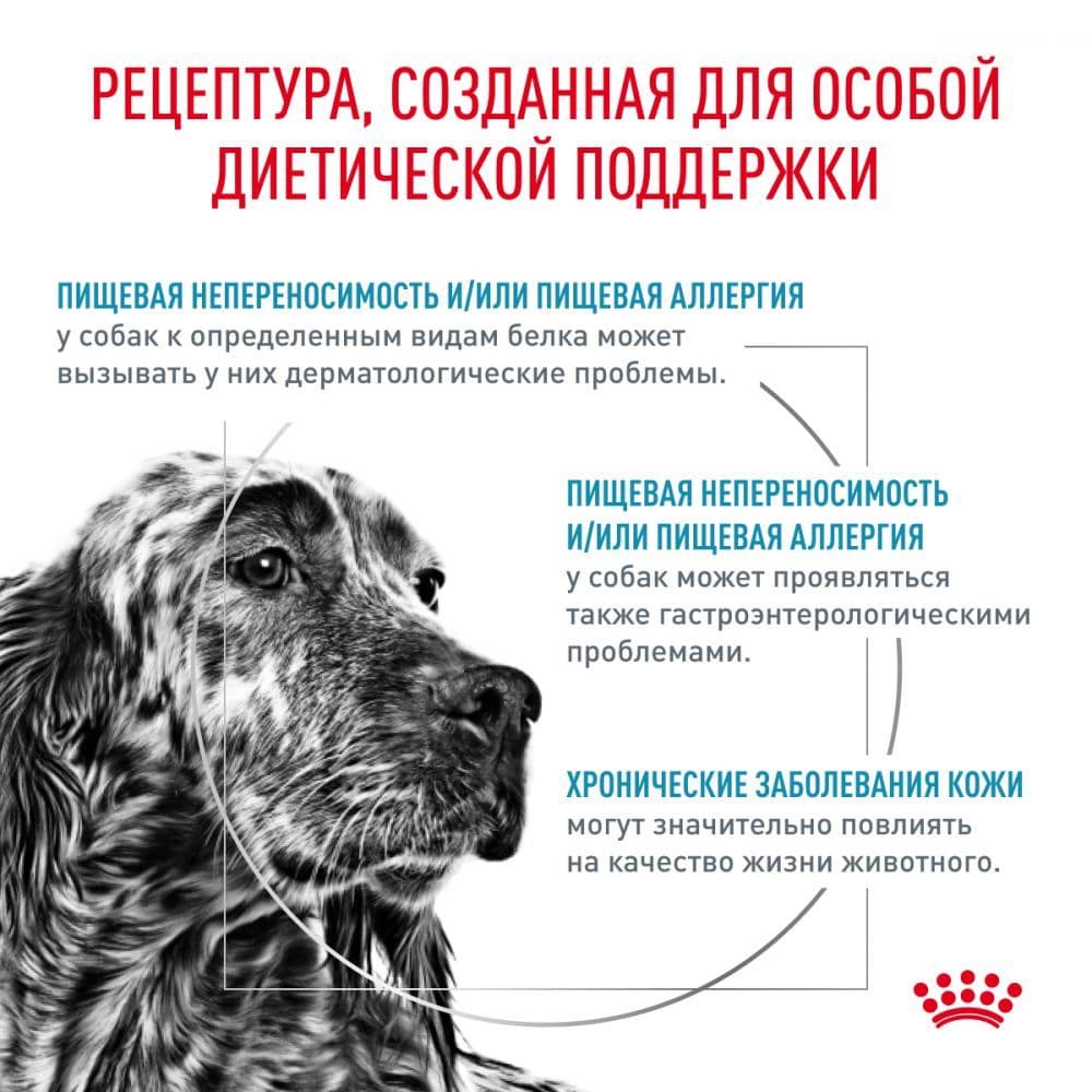 Купить Royal Canin Hypoallergenic диетический корм для взрослых собак при пищевой аллергии или пищевой непереносимости 2кг