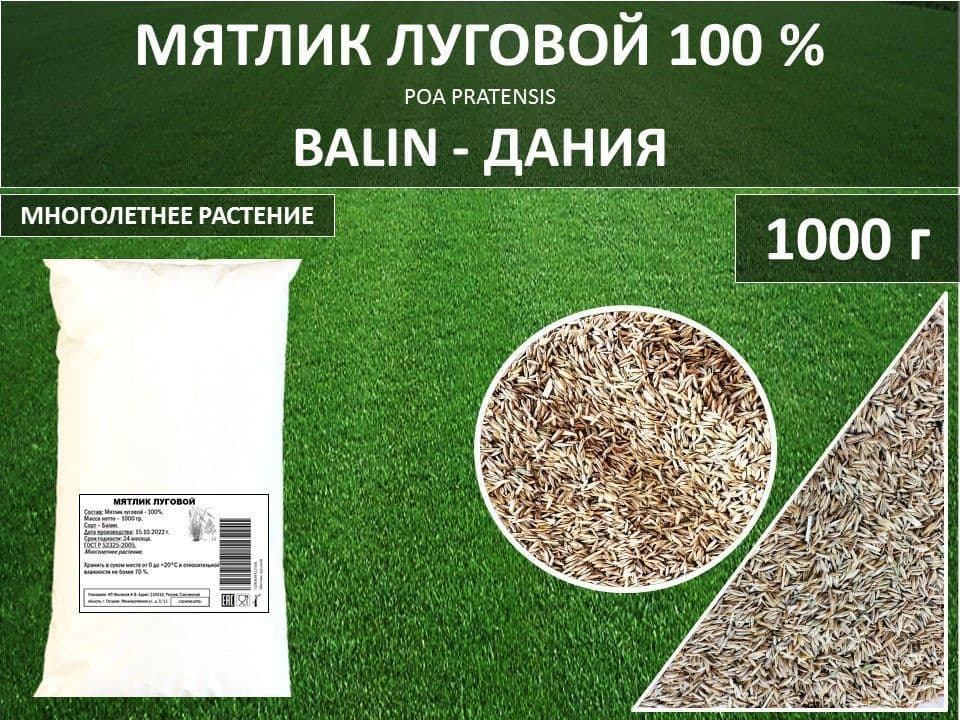 Купить Мятлик луговой семена - импортный