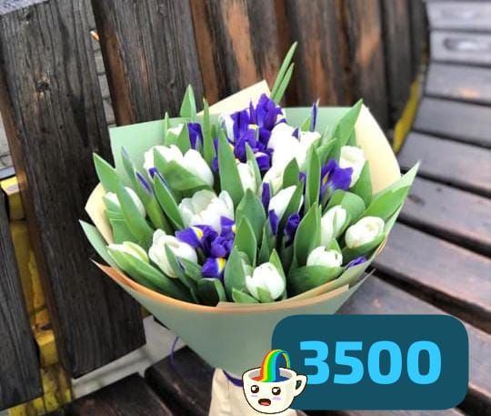 Купить Товар 14