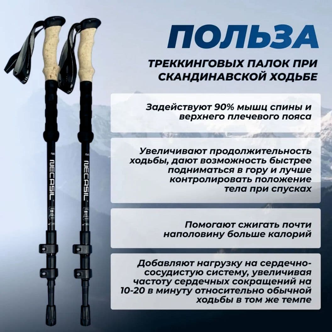 Купить Палки треккинговые, для скандинавской ходьбы 65-135см