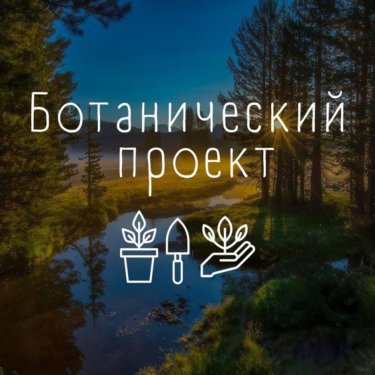 Купить Тариф "Персональный"
