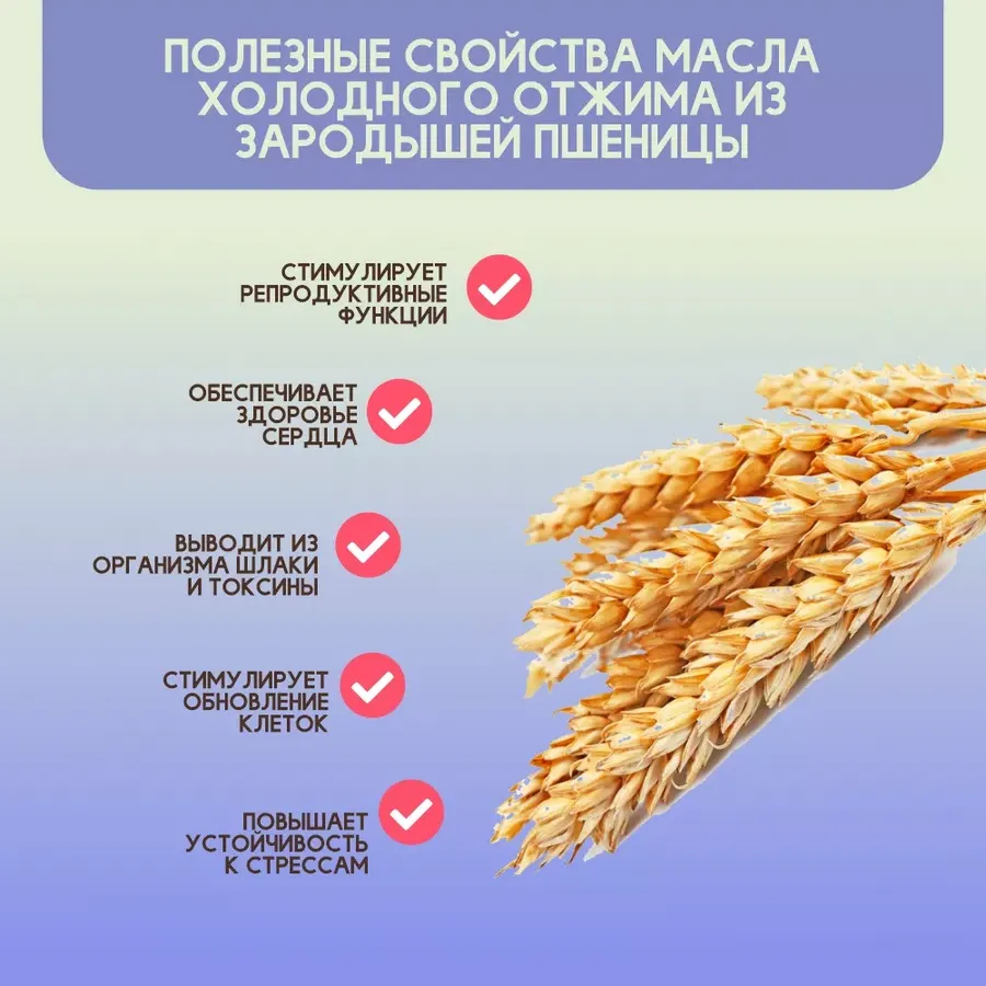 Купить ЗДРАВА Масло Зародышей Пшеницы 250 мл. Холодный отжим