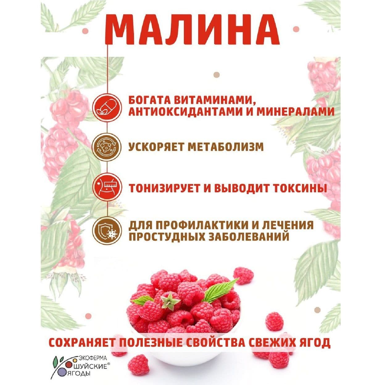 Купить МАРМЕЛАД АССОРТИ