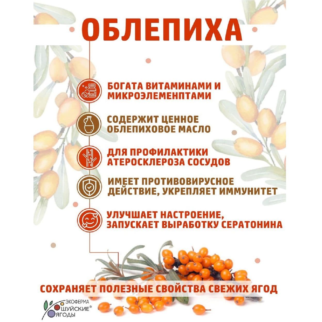Купить МАРМЕЛАД АССОРТИ