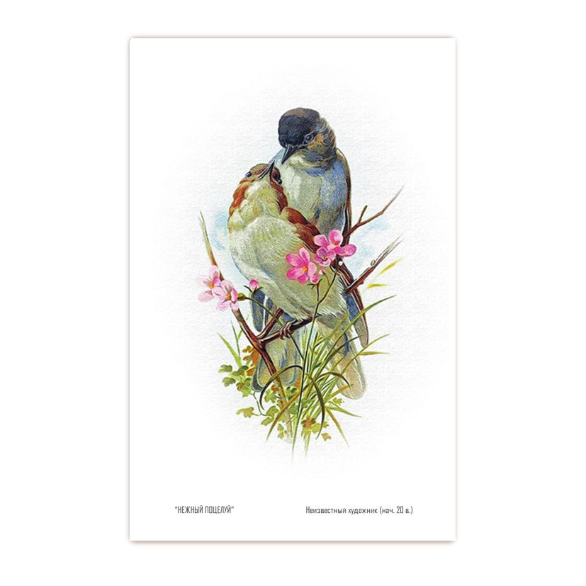 Купить Коллекционная открытка из серий "Рыбацкие" и "Пташки"