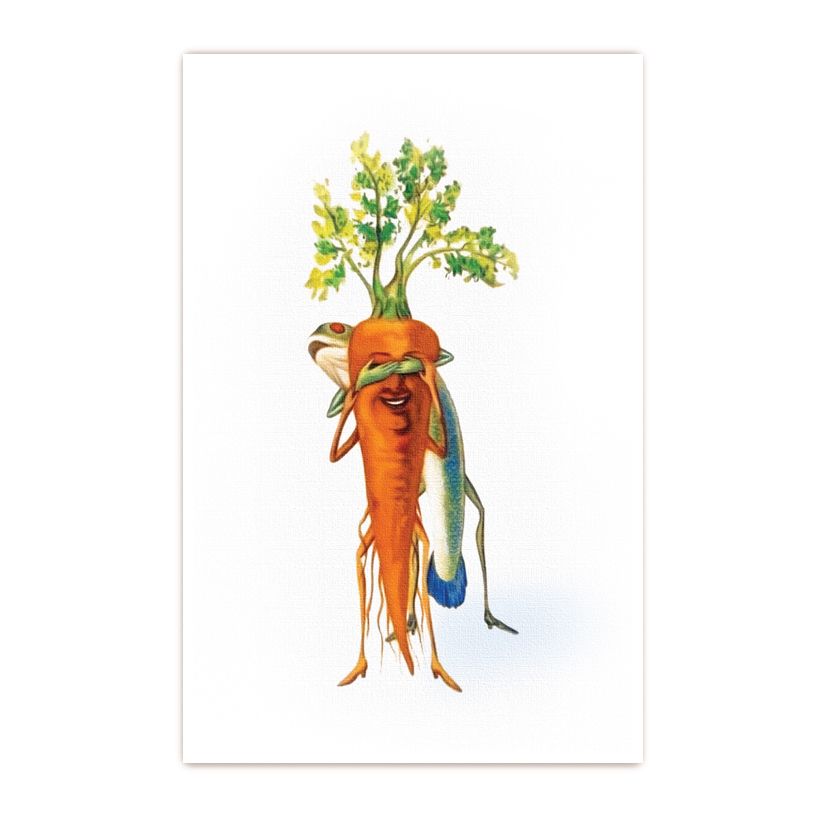 Купить Коллекционная открытка из серий "Рыбацкие" и "Пташки"