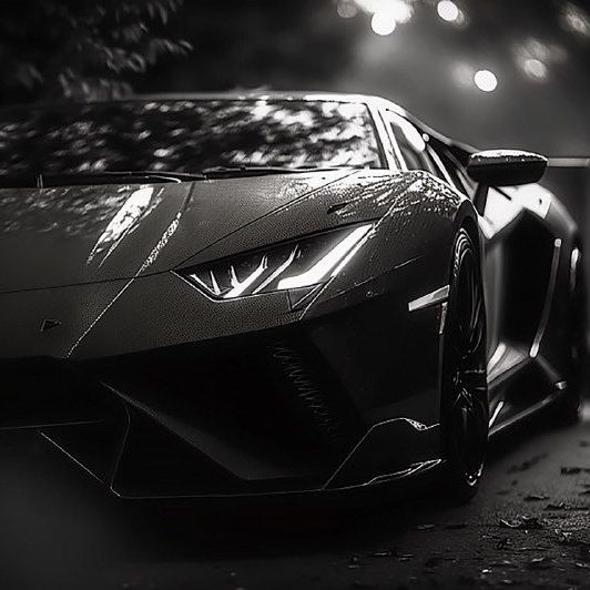 Купить lamborghini 5000х4000 300 pdi 6,81 мб JPG