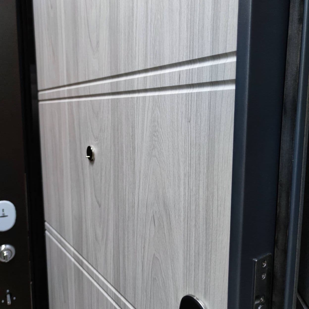 Купить Дверь входная "Модель 11.2", Метеора