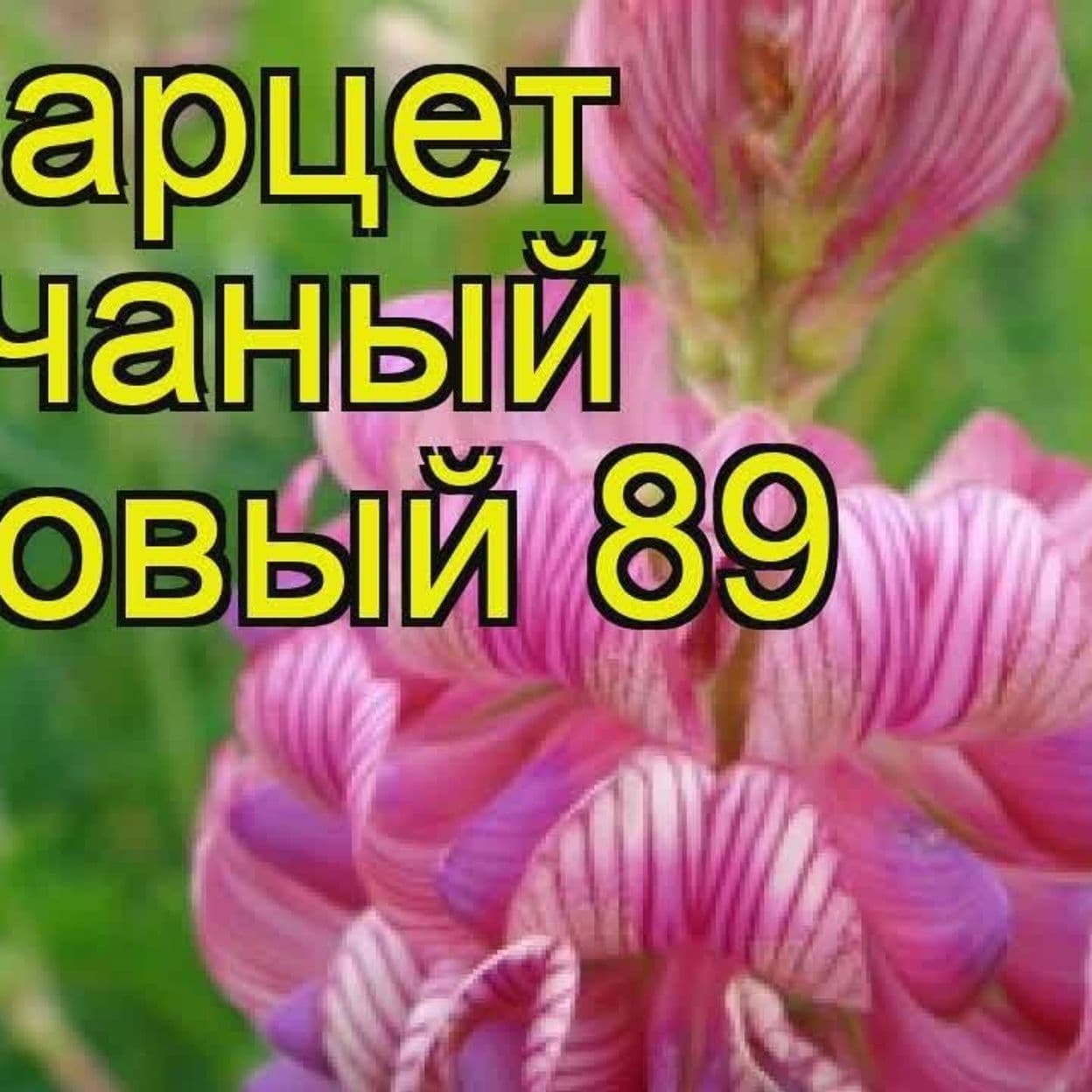 Купить Эспарцет семена ОС, ЭС, РС, РСт